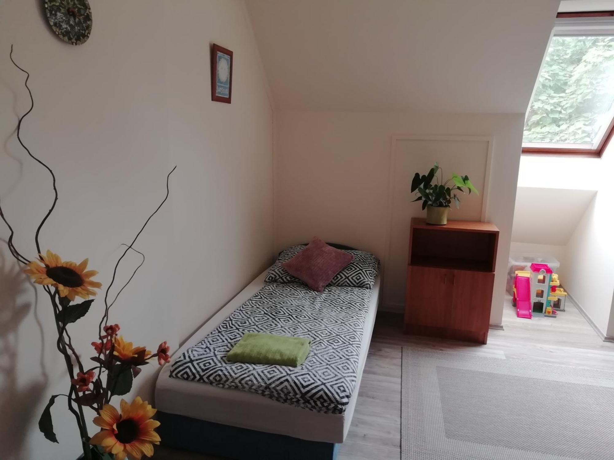 Cehmesterek Apartman 埃格尔 客房 照片